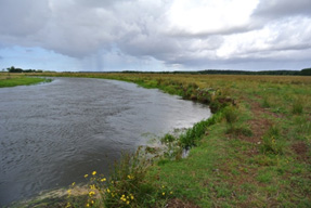 File:Skern RestoredSection.jpg