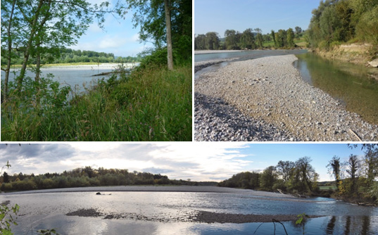 File:Thur Restored.jpg