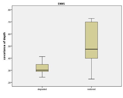 File:Enns FigureDepth.jpg