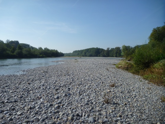 File:Thur restored.jpg