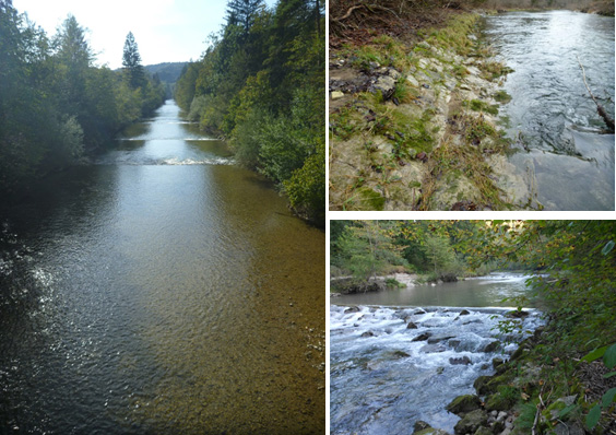 File:Toess Degraded.jpg