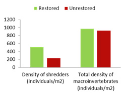 File:V result invert.jpg