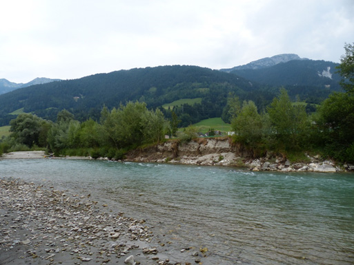 File:Enns RipVeg.jpeg