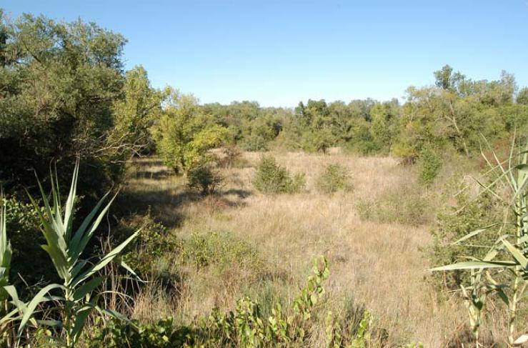 File:Aragon Campollano Antes.jpg