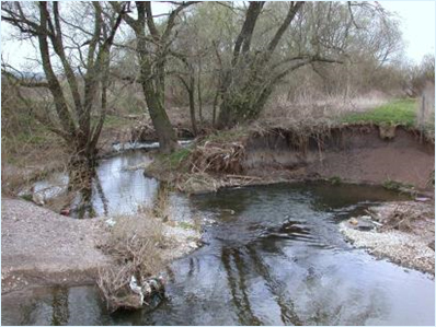 Natural channel dynamics in a mid-sized gravel-bed river
