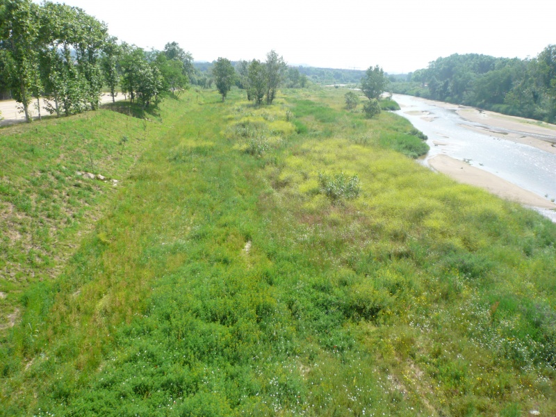 File:Tordera practicas MasterRE716 (8).JPG