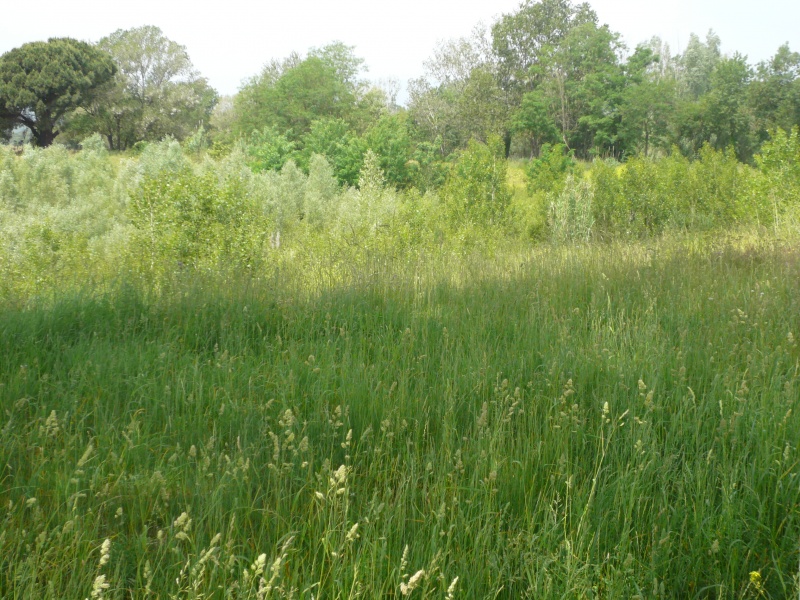 File:Tordera practicas MasterRE716 (9).JPG