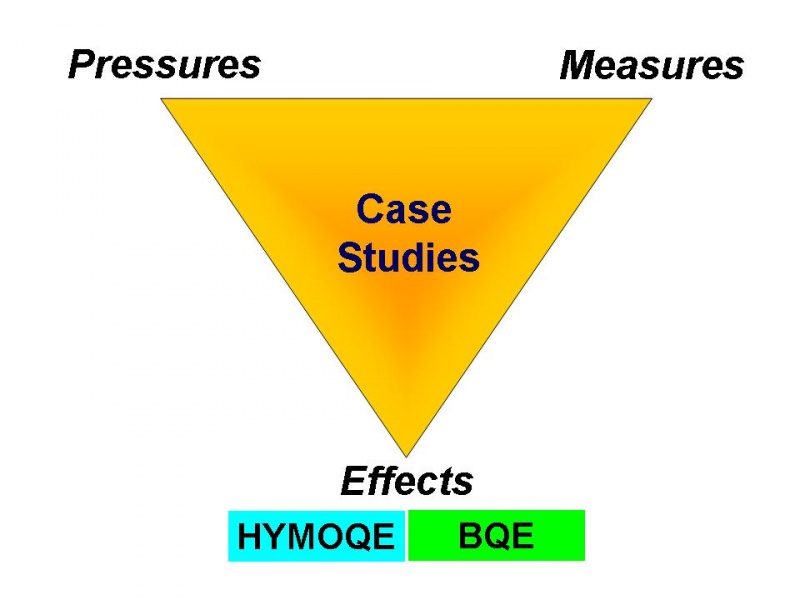 File:Figure Homepage triangle 2.jpg