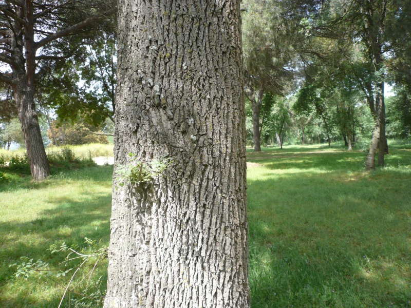 File:Tordera practicas MasterRE716 (7).JPG