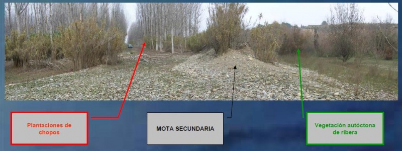 File:Fraga motas.jpg