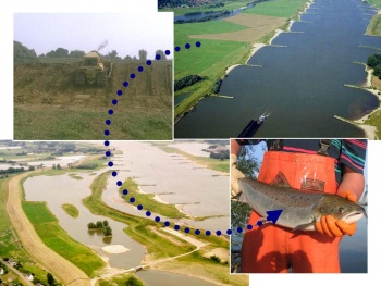 Pressure Measure Effect 2.jpg