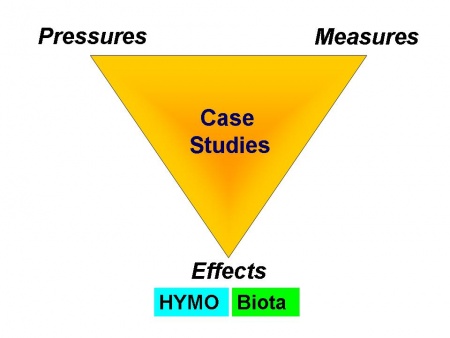 Figure Homepage triangle.jpg