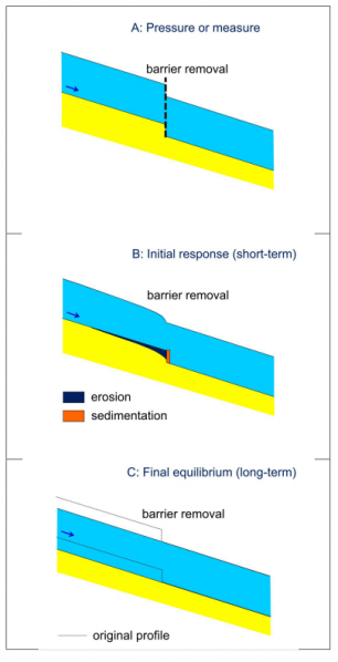 File:Effects of weir removal.png