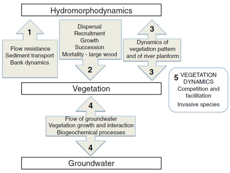 File:VegHymoInteractions models Fig1.png