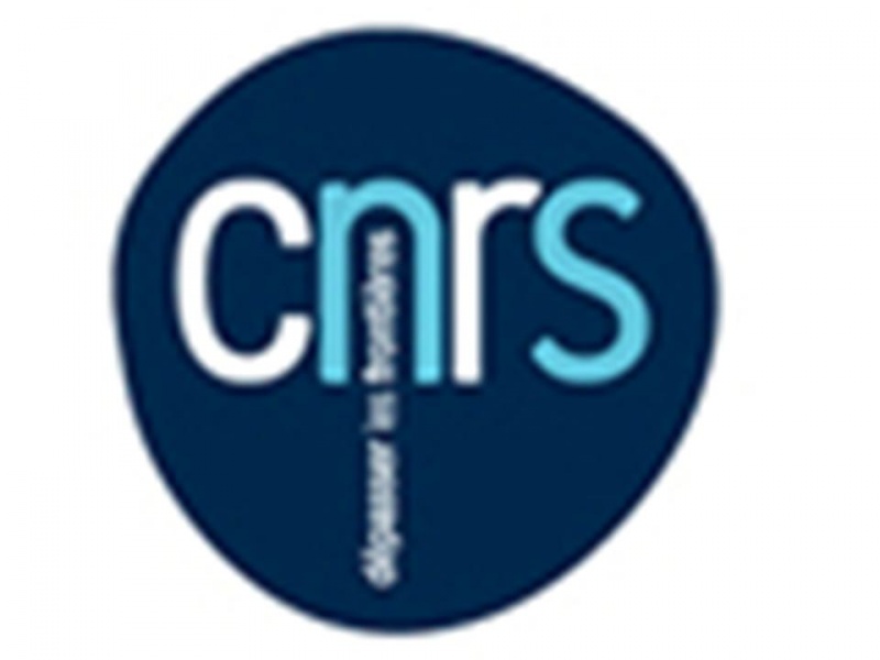 File:Logo cnrs.jpeg