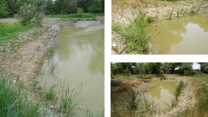 File:Aragon Campollano Estaquillado.jpg