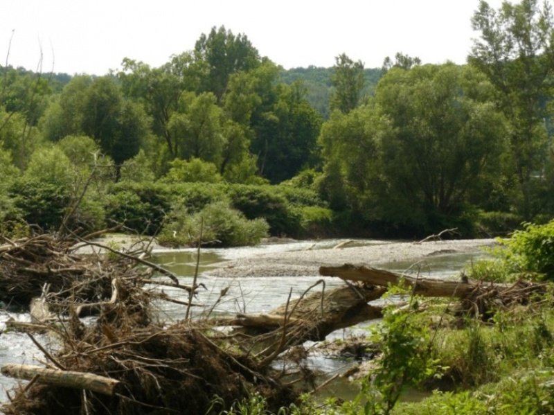 File:River Pielach in Austria.jpg